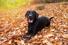 Fritz(Kalle)1